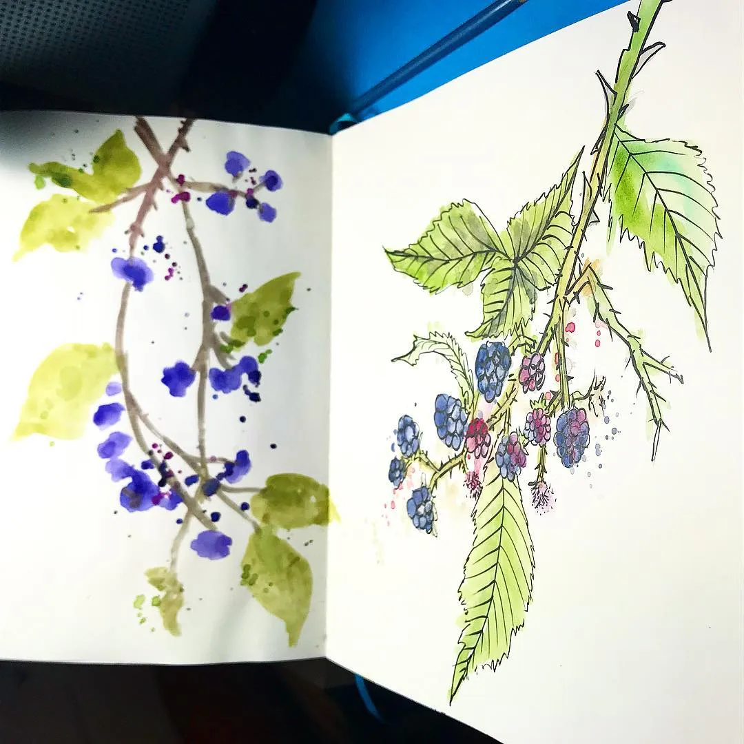 "BlackBerry doodles ‍", a piece by Anguiano Art from the Instagram archive