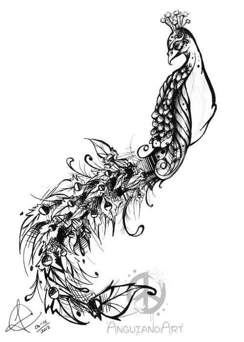 Fine ink line drawing of a peacock with an ornately patterned tail